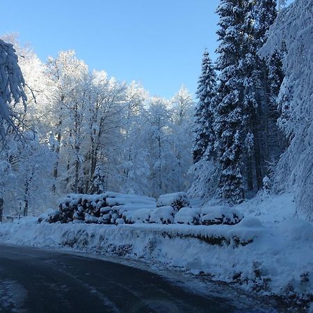 Casa Alpago Leilighet Spert Eksteriør bilde