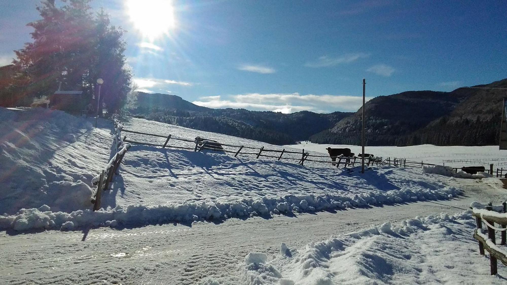 Casa Alpago Leilighet Spert Eksteriør bilde